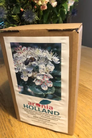 3.3L 100% puur Aroniasap box met tapkraantje