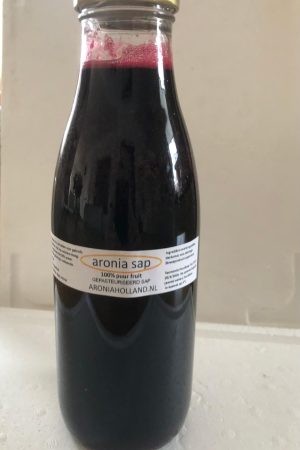 zwarte-aronia-bes-101