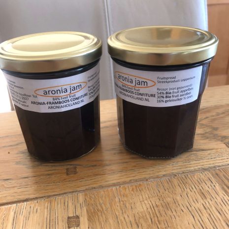 zwarte-aronia-bes-102